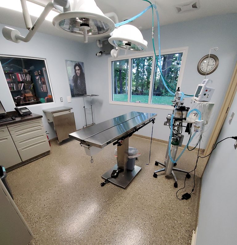 Veterinary Services in Jackson, MI Arbor Hills Veterinary Clinic