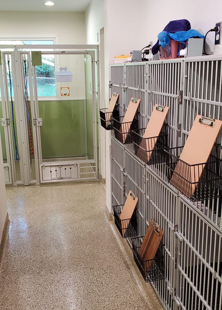 Pet Boarding in Jackson, MI Arbor Hills Veterinary Clinic