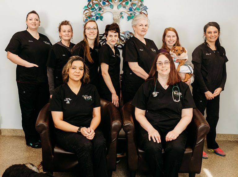 About Arbor Hills Veterinary Clinic