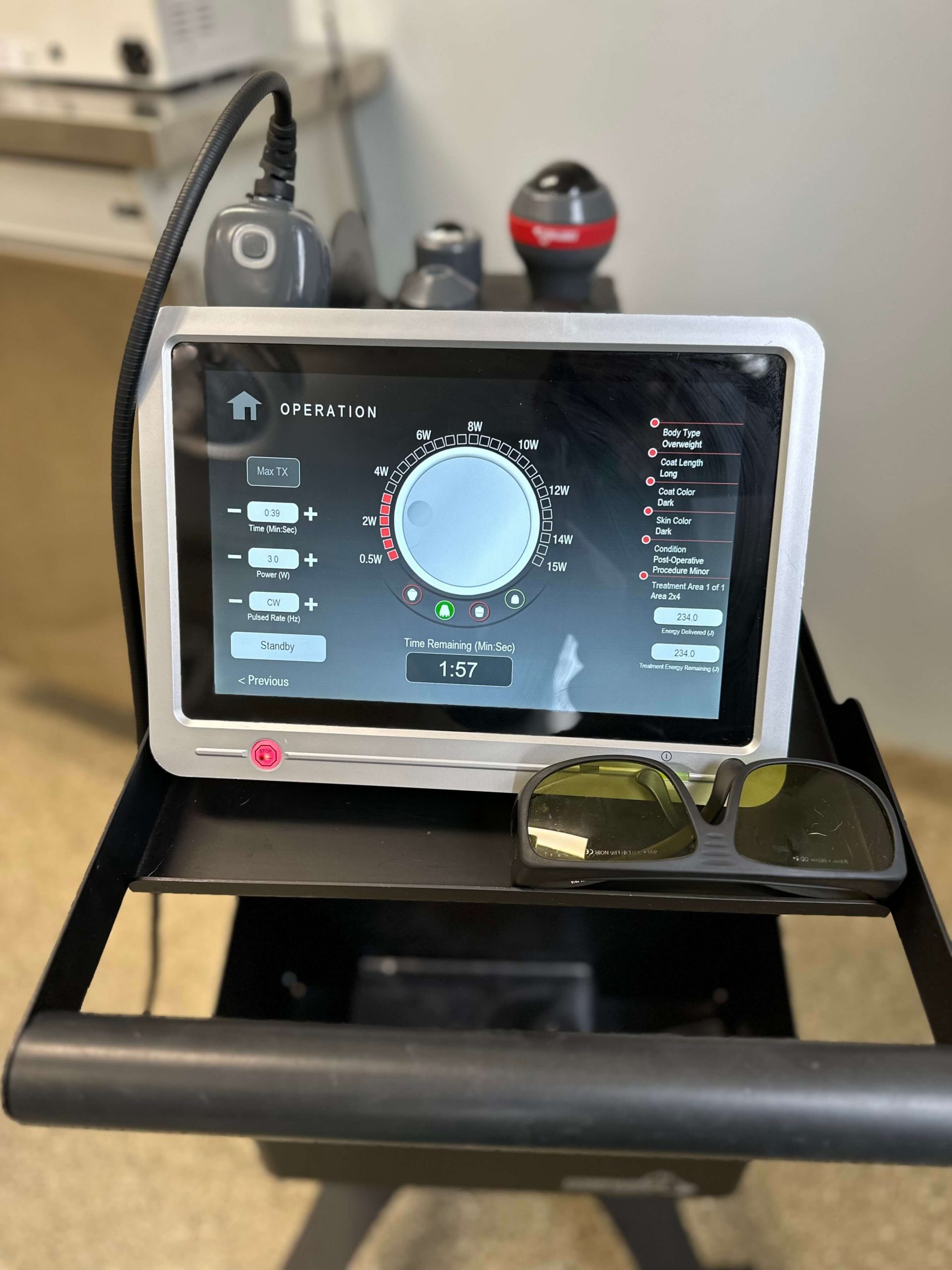 Pain Management in Jackson, MI Arbor Hills Veterinary Clinic